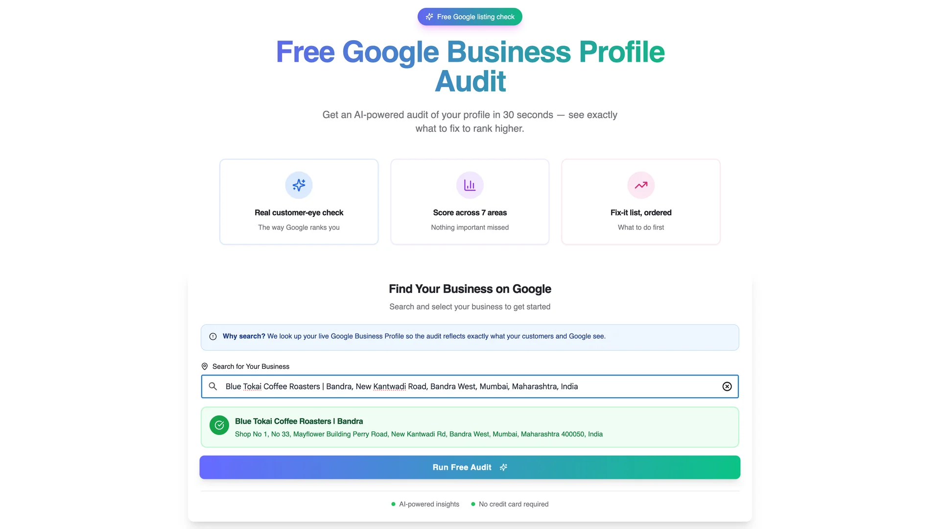 Selected business confirmation with the Run Free Audit button highlighted